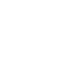 Eco Friendly Icon
