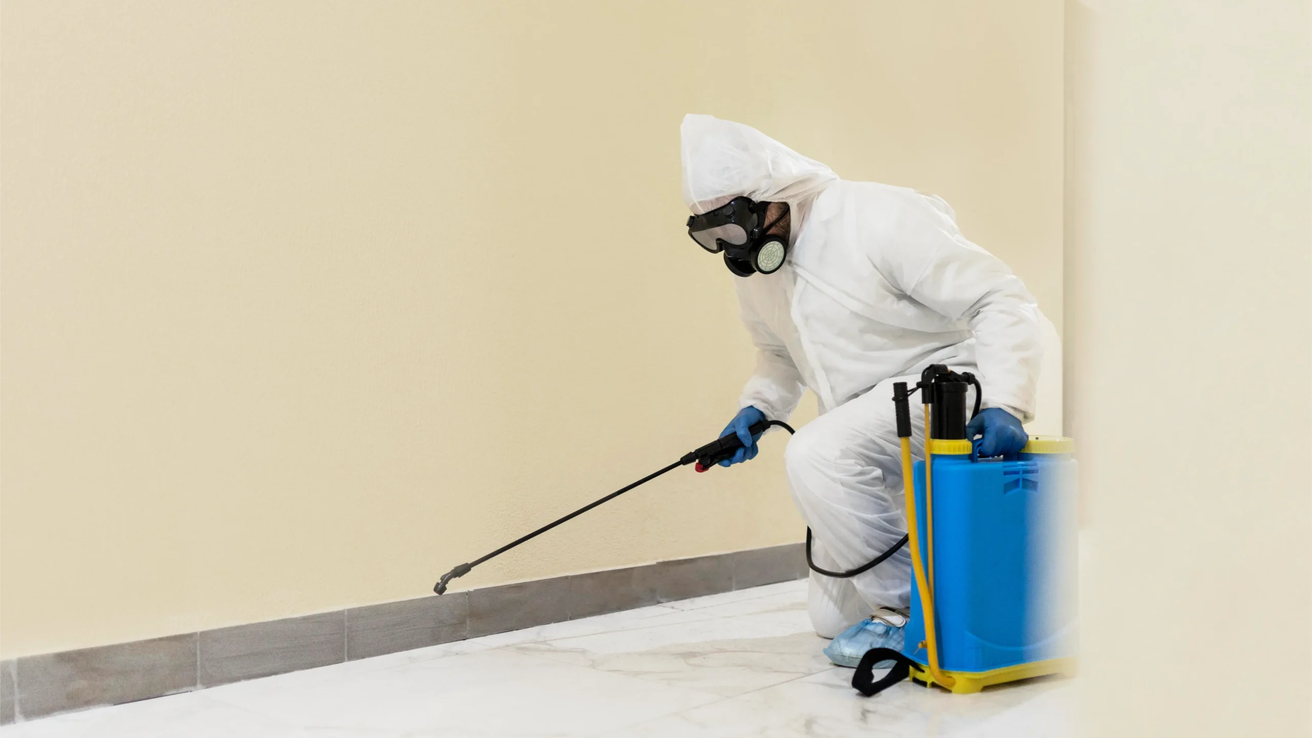 Steward Cleaning